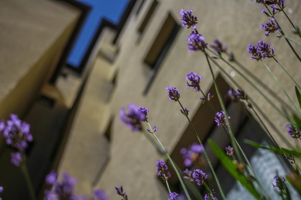 Hotel Five Seasons Fuerth Luaran gambar